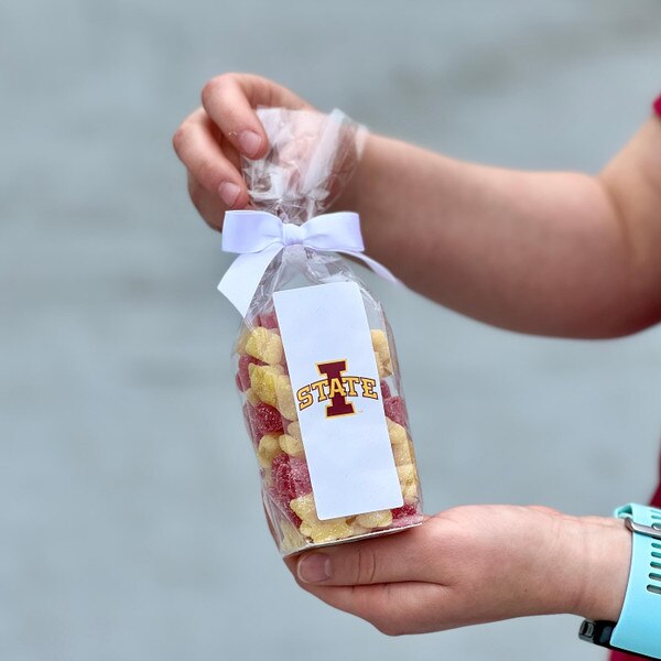 I-State Cardinal Gummies in a Bow Bag 8-ounce